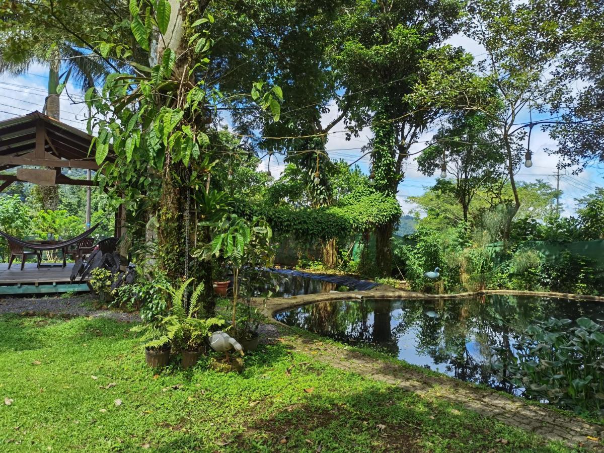 Greenhouse Loft Miravalles Aguas Claras  Exterior photo